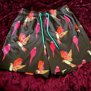 Flamingo swim trunks/shorts.